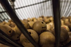 Lotofácil: concurso 2783 sorteia R$ 4,5 milhões neste sábado (8); veja como jogar. Fonte: Pixabay