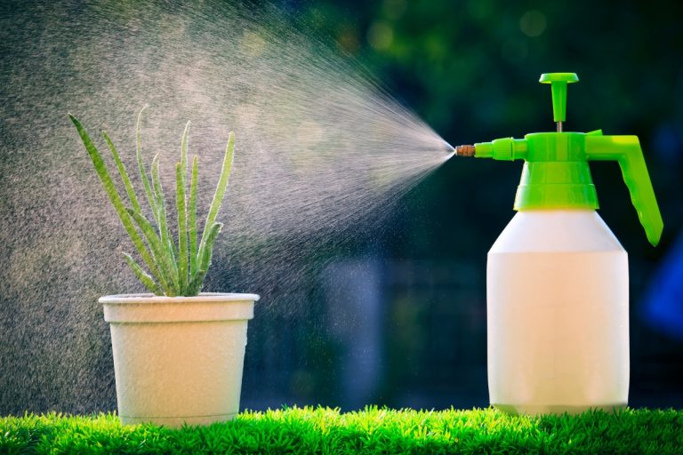 Fungicida caseiro: economize dinheiro e proteja suas plantas de forma sustentável