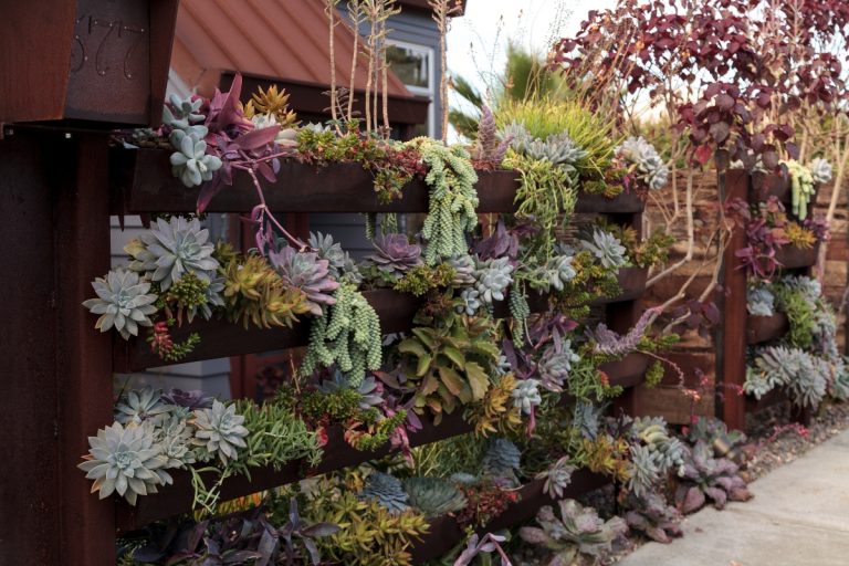 Descubra quais as plantas mais indicadas para ter um jardim vertical com visual deslumbrante e fácil manutenção