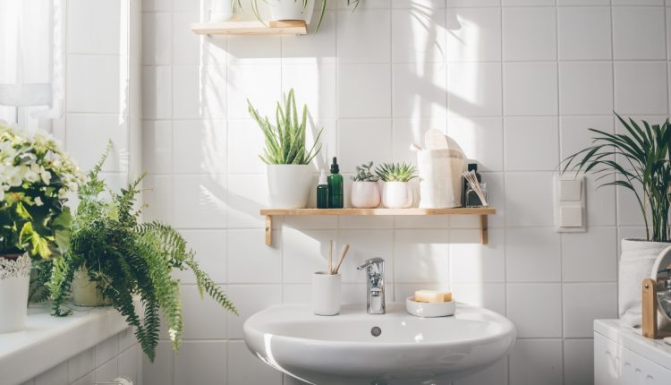 Transforme seu banheiro em um refúgio de bem-estar: conheça as plantas que trazem beleza e saúde ao ambiente