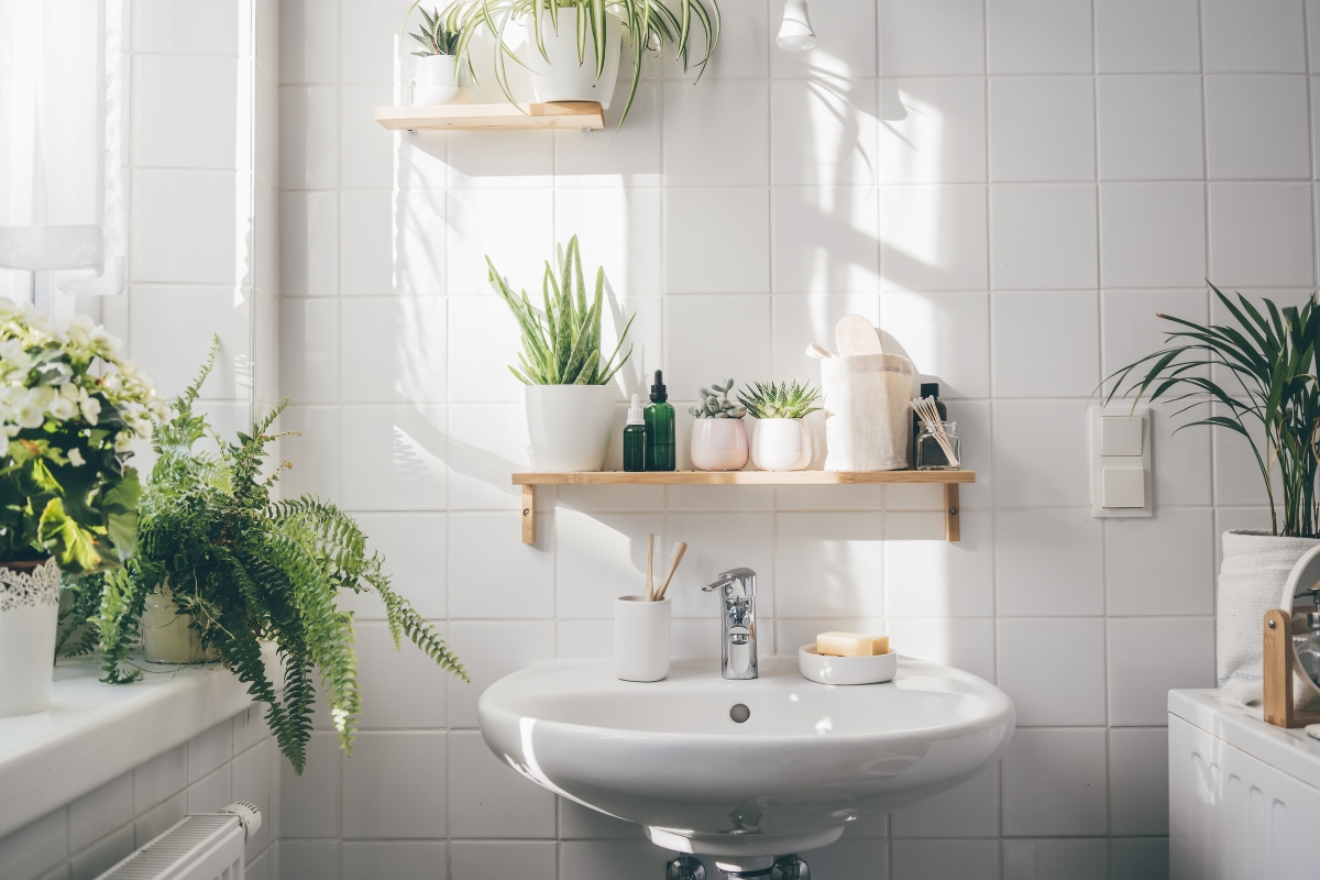 Transforme seu banheiro em um refúgio de bem-estar: conheça as plantas que trazem beleza e saúde ao ambiente