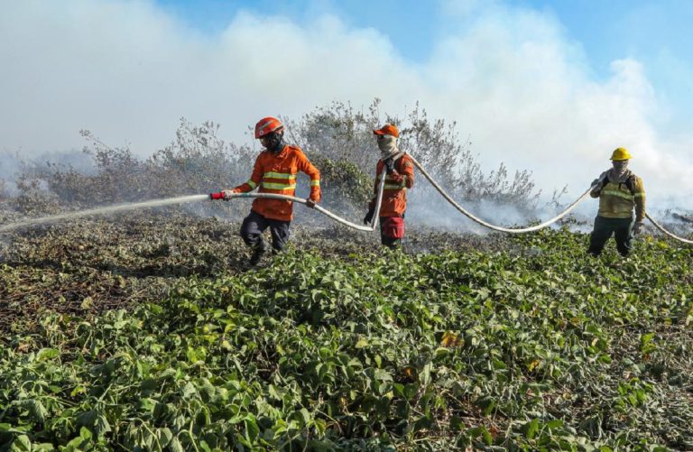 Pantanal em xeque: ministra faz grave advertência no Senado. Foto: Michel Alvim/Secom-MT