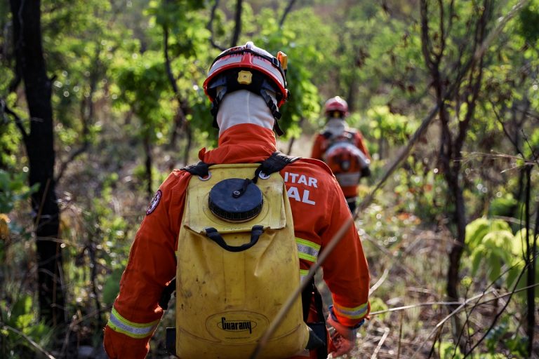 Estado de emergência decretado no Mato Grosso após incêndios. Foto: Christiano Antonucci/Governo do MT