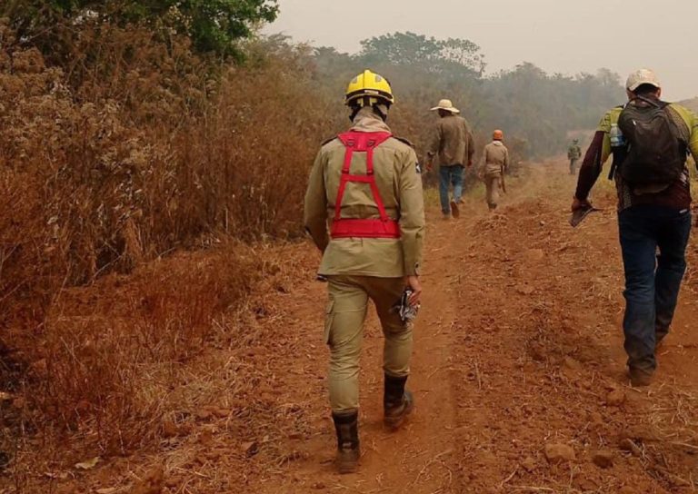Final feliz! Adolescente de 17 anos é encontrado no MT após sumir na mata. Foto: CBM-MT